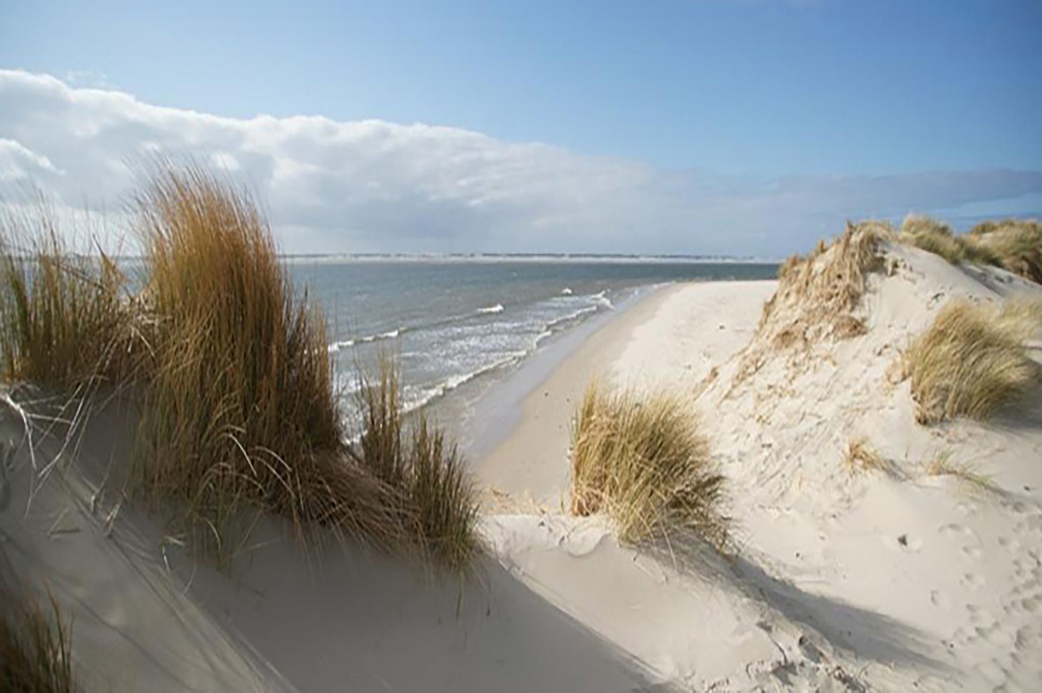 In den Dünen auf Sylt